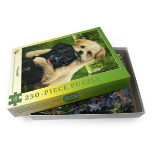 Friends Jigsaw Open2